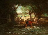 Washing Sheep 